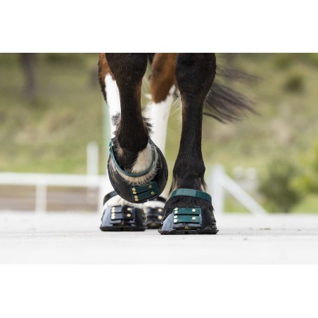 Scoot Boots - Hipposandale légère toutes disciplines