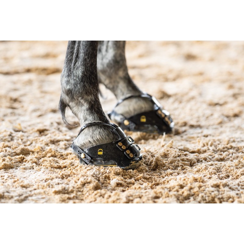 Location Scoot Boots TheraRide