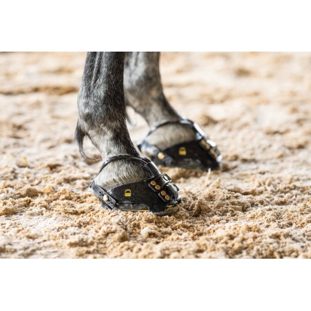 Location Scoot Boots TheraRide