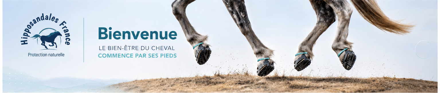 Hipposandales France — Le bien-être du cheval commence par ses pieds
